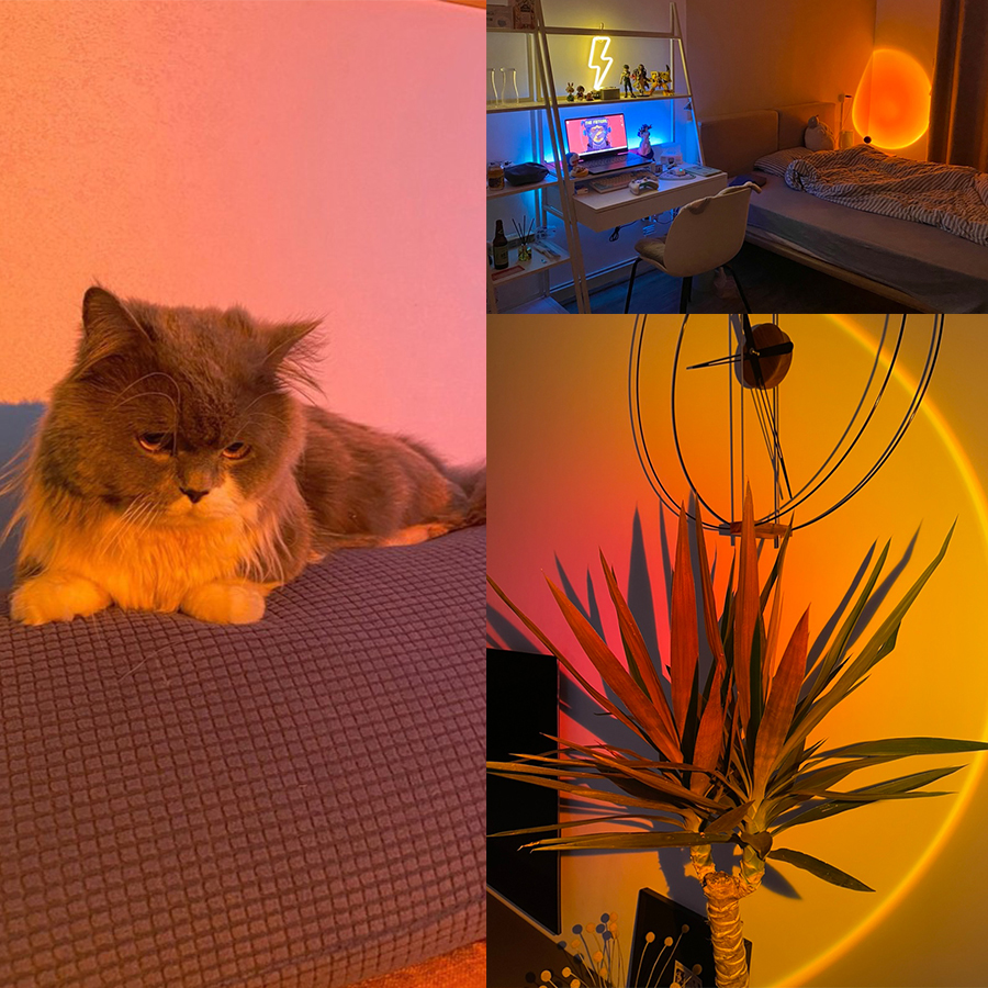 Smart Sunset Lamp Tuya LED Nig - Photography Lighting App ulasan dan harga